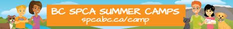 SPCA Summer Camps - Activities, Outdoor Fun and Time Spent With Animals