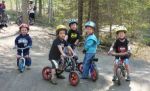 The Benefits and Drawbacks of Run Bikes