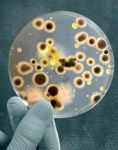 Nine Ways to Boost Immunity
