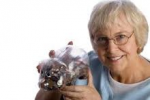 Seniors Tax Credits